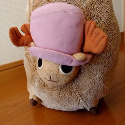 たぬきさんのプロフィール画像