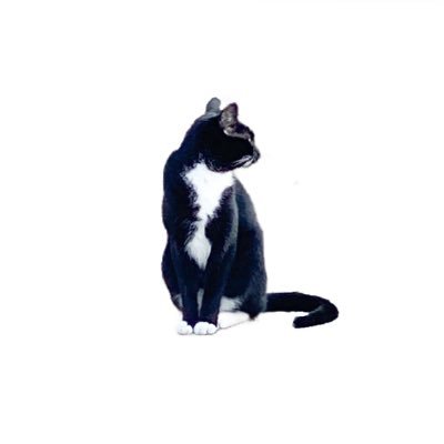 Cottontown Catさんのプロフィール画像