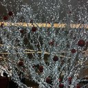 Christine Cho - @christinecho10 - Twitter