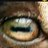 Manclad41's profile image