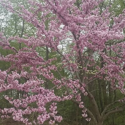 Amazon seller crypto
Husband father of two boys
Tweets mine
..RT's yours
..RT ≠ endorsement