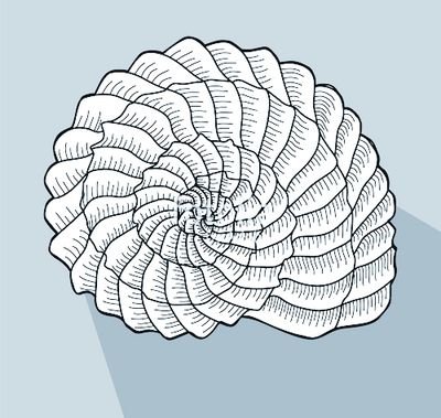 snailshell_'s profile picture. 독백