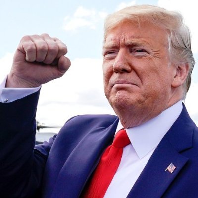 MAGA / KAG /TRUMP 2020 - Pro Trump/Constitution: Astute, common sense advocate of erudite U.S. culture, civic responsibilities, constitutional truth & justice.