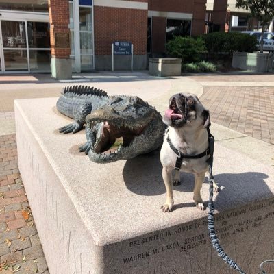 Jiening_Liu's profile picture. 