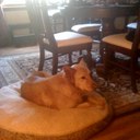 Ian MacPherson - @Highlander1957 - Twitter