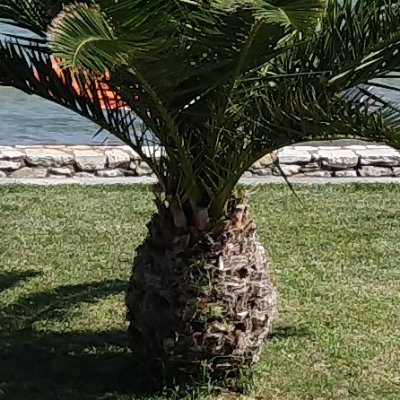 Stuff69Stuff's profile picture. Random Stuff