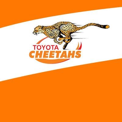 An unofficial Cheetahs supporters account