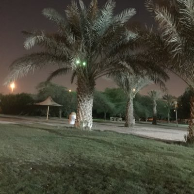اللهم ليس لنا من الأمر إلا ماقضيت ولا من الخير إلا ما أعطيت ... فأجعل لنا في كل لحظة حظاً من عبادتك ونصيباً من شكرك.