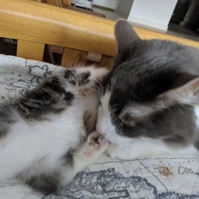 barbmaloof1's profile picture. An educated, news junkie who stays on top of issues.