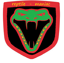 i am a guy that loves reptiles, , my collection is getting bigger and bigger every year! i have started breeding them also :) check out my channel