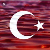 aslı (@aslihanezgi) 's Twitter Profile Photo aslı (@aslihanezgi) 's Twitter Profile Photo