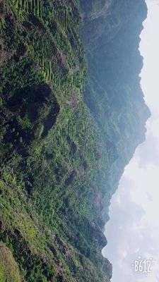 wMcdGLM8KHCcVtc's profile picture. 