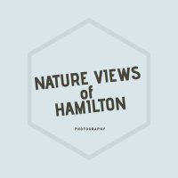 Nature Views of Hamilton(@NatureViews) 's Twitter Profile Photo