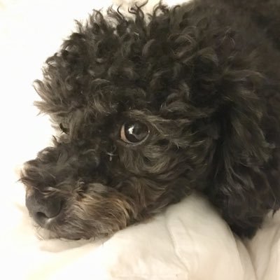 Kasiunia987's profile picture. Trying to make sense of it all.