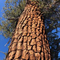 Food For Climate (@foodforclimate) 's Twitter Profile
