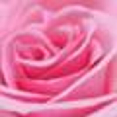 薔薇 Rosesoubi Twitter 薔薇 Rosesoubi Twitter