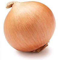 ONION.NET(@onion_dot_net) 's Twitter Profileg