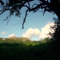 Dartmoor Devon (@dartmoor_devon) 's Twitter Profile