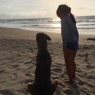 acarohj2's profile picture. 