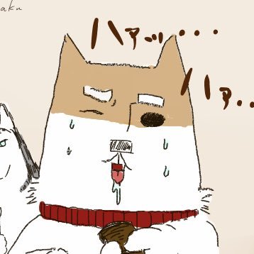 砂漠の中心からさんのプロフィール画像