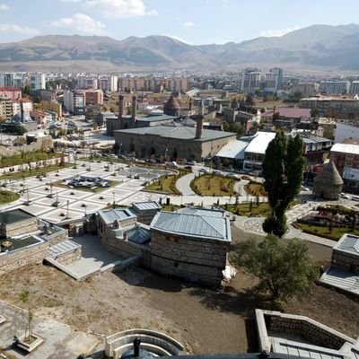 gullac025's profile picture. 