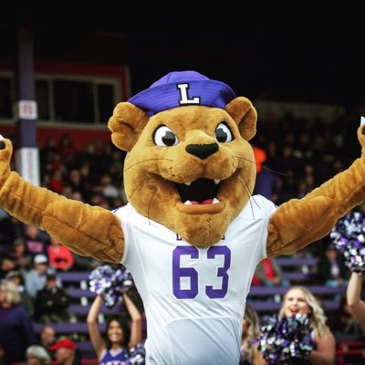 MackTheWildcat's profile picture. I let my paws do the talking. #RollCats