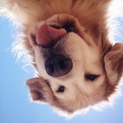 rapeg5's profile picture. 199x kids