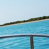 الرايس نيوز (@alrays2030) 's Twitter Profile