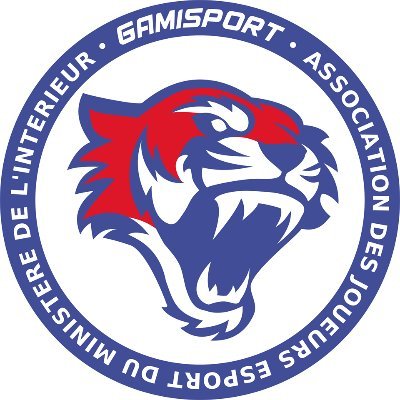 Association des passionnés du jeu vidéo et de l'eSport du Ministère de l'Intérieur Discord: https://t.co/G3HrqEGcj4 Twitch: https://t.co/ueOhsovQeP