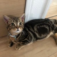 こんちゃ_@台風の仙台から帰宅しました (@koncha275_002) 's Twitter Profile