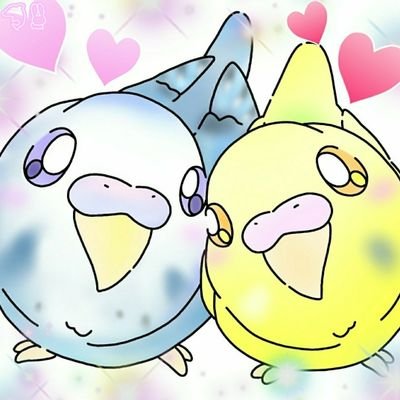 ふぅ いるか L うさぎ りん かわいいな 中型以上のインコ飼ったことないからたまにショップで気になるのが噛む力 セキセイでたまに強い子で血が出るコザクラインコはかなり痛くて穴が空いて血が出る コガネメキシコインコは甘噛みしかされてないし ふぅ いるか L うさぎ りん かわいいな 中型以上のインコ飼ったことないからたまにショップで気になるのが噛む力 セキセイでたまに強い子で血が出るコザクラインコはかなり痛くて穴が空いて血が出る コガネメキシコインコは甘噛みしかされてないし