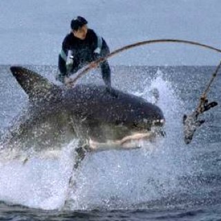 stuboy99's profile picture. Sea Rescue National Corporate Fundraiser, entrepreneur, surfboard builder, husband,father of 2 healthy sprogs, 3 dogs and a cat.