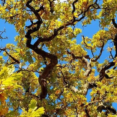 LuckyJim531's profile picture. 