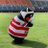 りんご🍎のアイコン