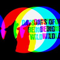 Days Of Being Wild (@daysofbeingwild) 's Twitter Profile
