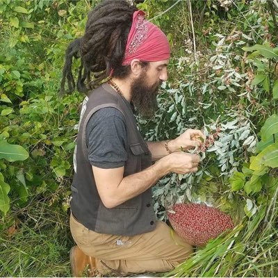 Foraging and Herbalism teacher at Return to Nature - Reclaiming the shamanic practice of communion with the plant world.
