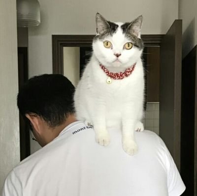 emanon1118's profile picture. 映像制作をしています。TV,VR,Director,配信テクニカル,釣り, #ドローン (JUIDA資格),#ねこ YouTubeチャンネル:https://t.co/2U7AvJBXDn