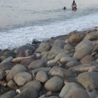 ashley (@javente1) 's Twitter Profile