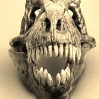 BeGreenorBeGone (@ididndothat) 's Twitter Profile