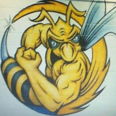 Official twitter page of the Highland Hornets wrestling team !