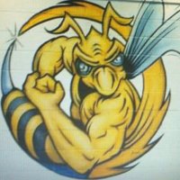 highlandhornetwrestling(@hornetwrestle) 's Twitter Profile Photo