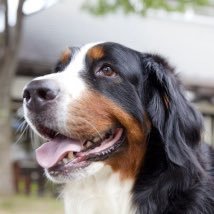 MIZUKI59423222's profile picture. ミニマリストになりたい栄養士です