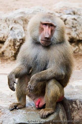 quirkman24's profile picture. Cursive writer