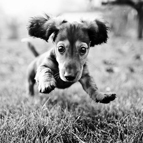 adejebeach's profile picture. 