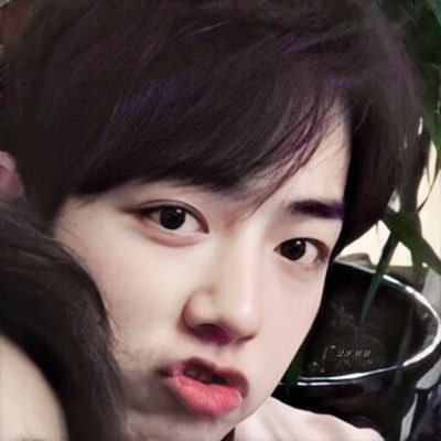 เซียวจ้านคือพิกกี้บูบู 🐰☁️さんのプロフィール画像