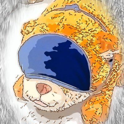 のこイヌ🐕🐶𓃡さんのプロフィール画像