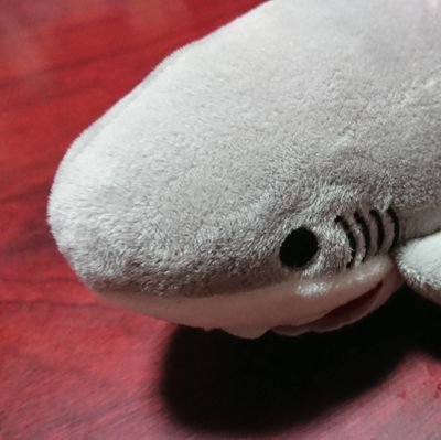 tki_rk's profile picture. 🐈ﾗﾗ/ﾐｹ/ﾙｰﾝ.ﾐﾙｸ/ﾃｨｱﾗ.ｼﾞｭｴﾙ.ﾛｯｼｰ.ｸﾛﾀﾝ./ﾛｰﾙ.ﾂﾊﾞｷ/ﾉｱ2018.06.06~/🐕ｼｮｸﾗ2013.0104　U• ﻌ •U♡