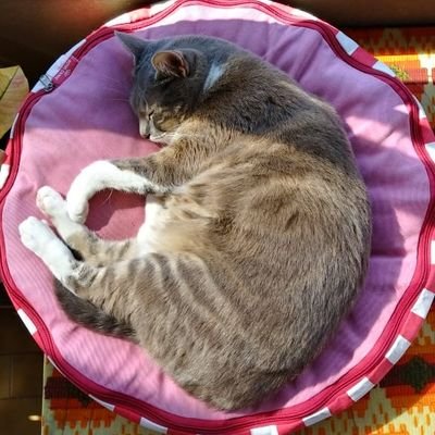 _ideafix's profile picture. 