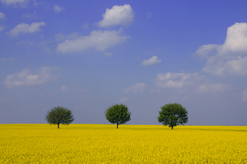 WorthValleyGirl's profile picture. 