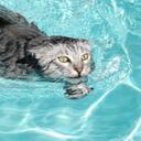 Heather Haire - @Jolieboo - Twitter